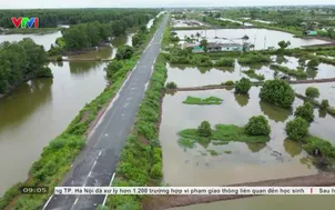 Đẩy nhanh tiến độ hoàn thành tuyến đê biển Đông dài 50km