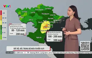 Bản tin thời tiết 12h30 - 15/9/2026