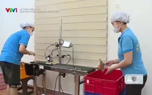 An toàn thực phẩm: Kiểm soát thực phẩm mùa Trung thu