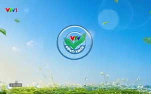 VTV Sống khỏe: Báo động đỏ - Cuộc đua giành sự sống
