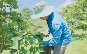 Bạn của nhà nông (2026) - Số 44