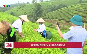 Đưa đồi chè lên không gian số