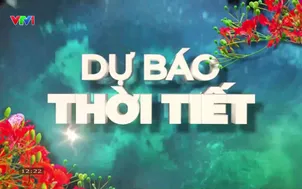 Bản tin thời tiết 12h30 - 20/9/2026