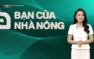 Bạn của nhà nông (2026) - Số 46