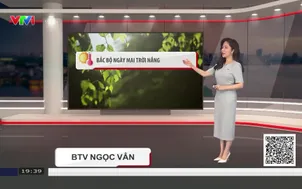 Bản tin thời tiết 19h45 - 22/9/2026