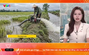 Bản tin thời tiết 5h30 - 24/9/2026