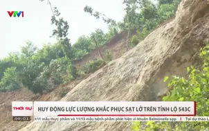Huy động lực lượng khắc phục sạt lở trên tỉnh lộ 543C