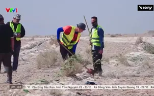 Iraq trồng một triệu cây xanh giữa sa mạc