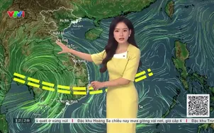 Bản tin thời tiết 12h30 - 25/9/2026