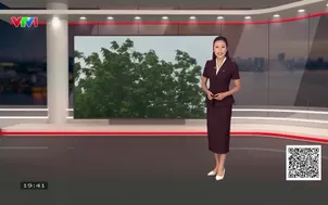 Bản tin thời tiết 19h45 - 25/9/2026