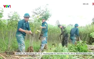 Giúp nông dân thu hoạch nông sản 