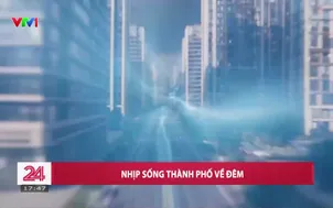 Nhịp sống thành phố về đêm