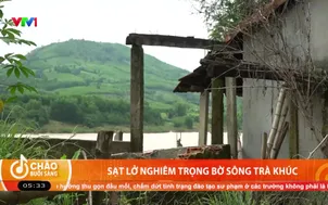 Sạt lở nghiêm trọng bờ sông Trà Khúc