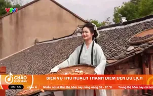 Biến vụ thu hoạch thành điểm đến du lịch