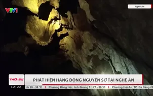 Phát hiện hang động nguyên sơ tại Nghệ An