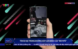 Tìm bị hại trong đường dây lừa đảo của Mr PIPS