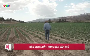 Dầu diesel đắt, nông dân gặp khó