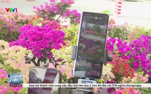 Siết chặt bán hàng qua livestream - Bảo vệ người tiêu dùng