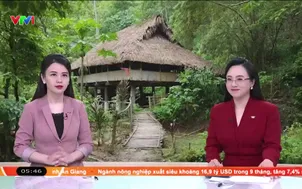 Giữ nếp văn hóa từ những mái nhà sàn