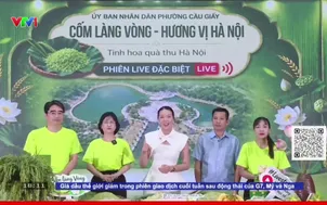 Mua hàng qua livestream: Tiện lợi đi kèm rủi ro