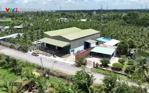 Đường tới nông trại: Bài toán gia tăng giá trị nông sản