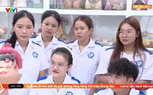 Giảm đầu mối trung cấp, cao đẳng