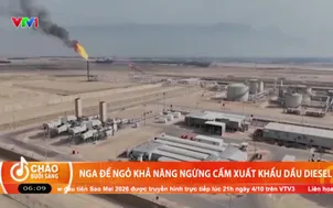 Nga để ngỏ khả năng ngừng cấm xuất khẩu dầu Diesel