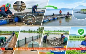 Bản tin thời tiết nông vụ - 05/10/2026