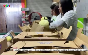 Để thực phẩm không thành rác