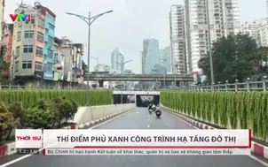 Thí điểm phủ xanh công trình hạ tầng đô thị
