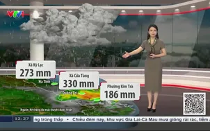 Bản tin thời tiết 12h30 - 06/10/2026