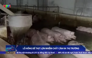 Lỗ hổng để thịt lợn nhiễm chất cấm ra thị trường