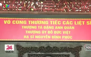 Những ánh sao giữa bão lửa