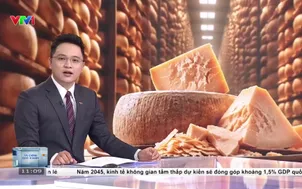 Phô mai Italy chật vật vì nắng nóng