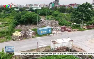 Đánh thuế đất bỏ hoang cần đúng đối tượng