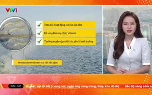 Bản tin thời tiết nông vụ 5h30 - 08/10/2026