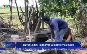 Xin trả lại tiền hỗ trợ vật nuôi bị thiệt hại do lũ