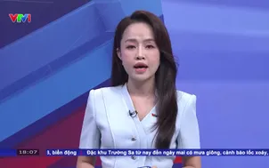 Khởi tố 2 bị can vụ việc lợn chứa chất Salbutamol