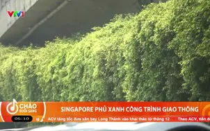 Singapore phủ xanh công trình giao thông