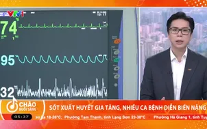 Sốt xuất huyết gia tăng, nhiều ca bệnh diễn biến nặng