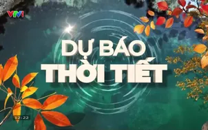 Bản tin thời tiết 12h30 - 11/10/2026