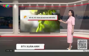 Bản tin thời tiết 19h45 - 12/10/2026
