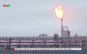 Nga, Ucraina chưa xác nhận ngừng tấn công các cơ sở năng lượng