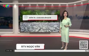Bản tin thời tiết 19h45 - 13/10/2026