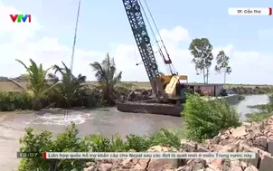 Ứng phó El Niño, hạn chế thiệt hại sản xuất nông nghiệp