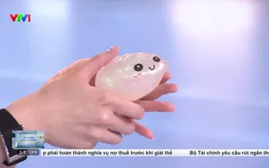 Nguy cơ từ bên trong đồ chơi bánh bao bóp mềm