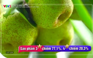 Đường tới nông trại: Sản phẩm Ocop nâng chuẩn để xuất khẩu