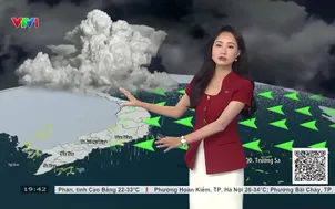 Bản tin thời tiết 19h45 - 15/10/2026