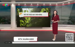 Bản tin thời tiết 12h30 - 16/10/2026