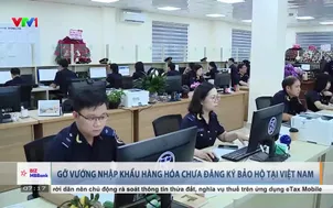 Gỡ vướng nhập khẩu hàng hóa chưa đăng ký bảo hộ tại Việt Nam